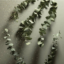 Load image into Gallery viewer, Eucalyptus Rosemary Nourishing Sanitizer Travel Refill Pouch