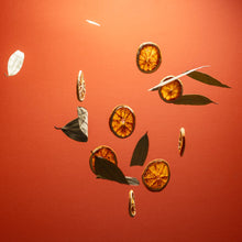 Load image into Gallery viewer, Refillable Orange Coriander Moisturizing Hand Sanitizer