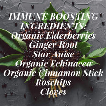 Load image into Gallery viewer, Elderberry DIY Kit - for Colds, Flu, Allergies - Green + Lovely