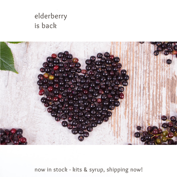 Elderberry Syrup & DIY Kits are back in stock, just in time for flu season!