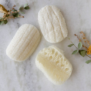 Compostable Dish Sponge 3-Pack | Eco Friendly, Zero Waste