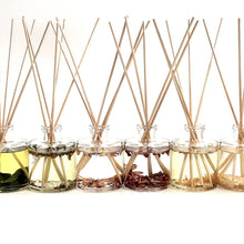 Load image into Gallery viewer, Sea Salt + Eucalyptus : Reed Diffuser
