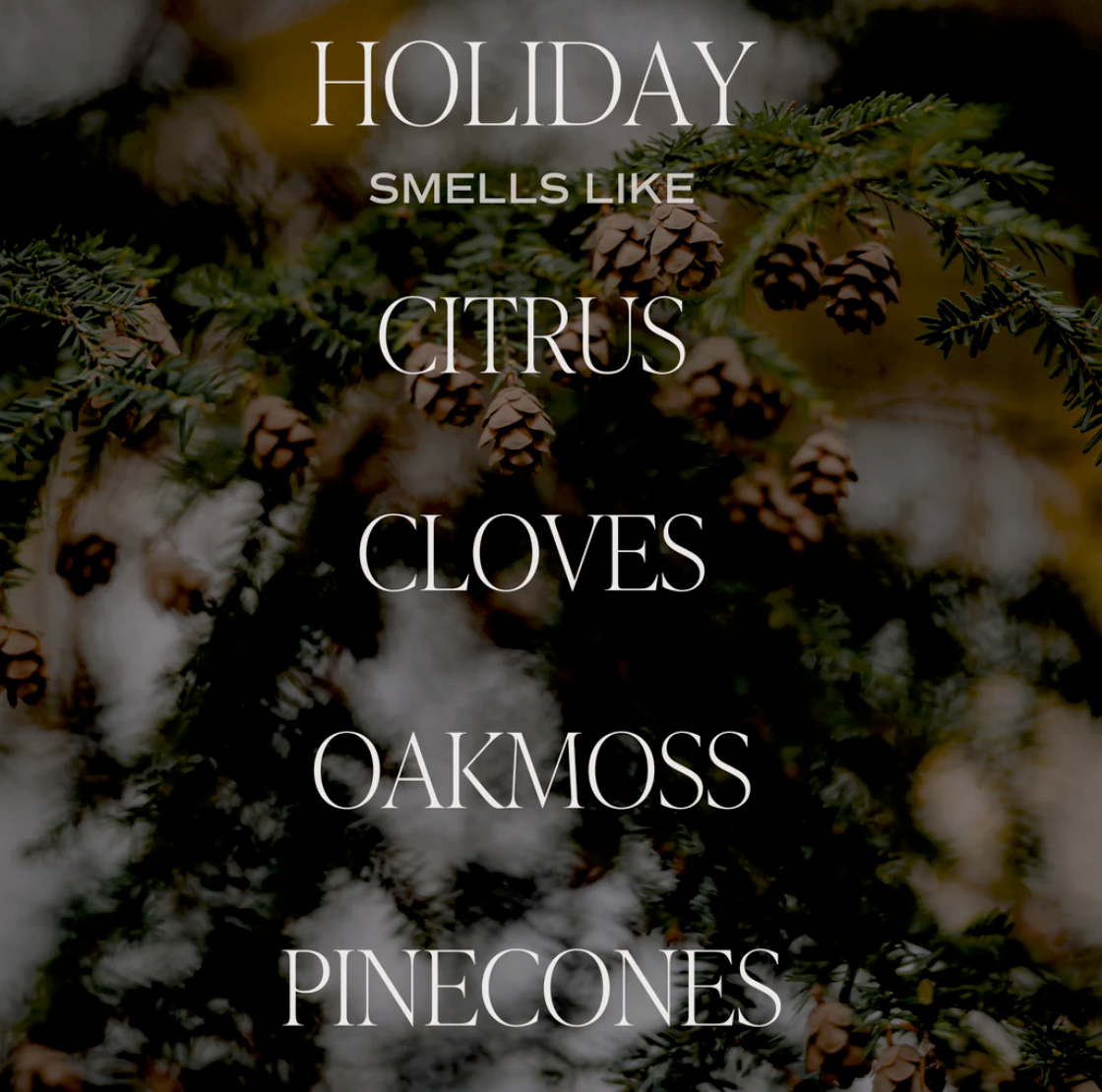 HOLIDAY 11 oz Soy Candle - Citrus, Cloves, Oakmoss, Pinecones - Green + Lovely