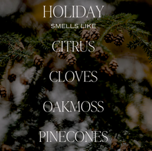 Load image into Gallery viewer, HOLIDAY 11 oz Soy Candle - Citrus, Cloves, Oakmoss, Pinecones - Green + Lovely
