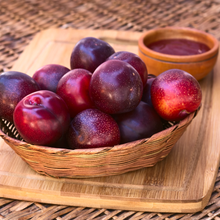 Load image into Gallery viewer, Cashmere Plum Soy Candle - 4oz Gold Travel Tin Stockings
